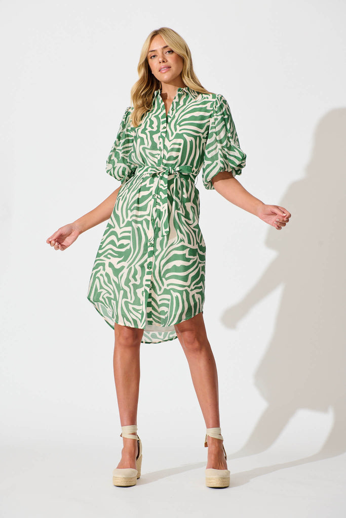 Holly Shirt Dress Green and White - full length