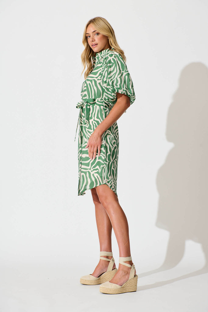 Holly Shirt Dress Green and White - side